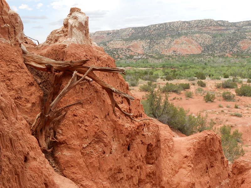 Palo Duro Canyon (Texas)